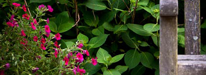 What’s Trending: Spring into action